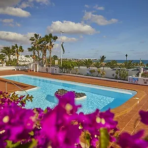 Palmeras Puerto Del Carmen , Puerto del Carmen (Lanzarote) España